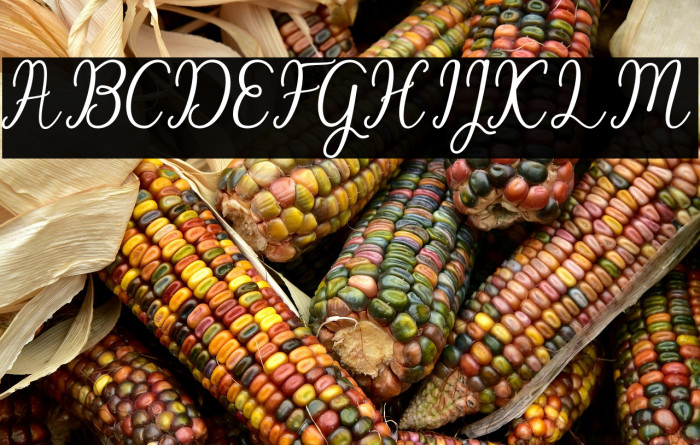 BeachGirlScript Example 3