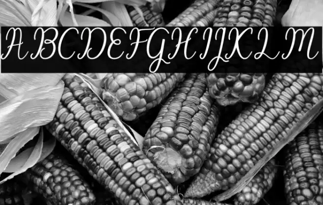 BeachGirlScript Font examples