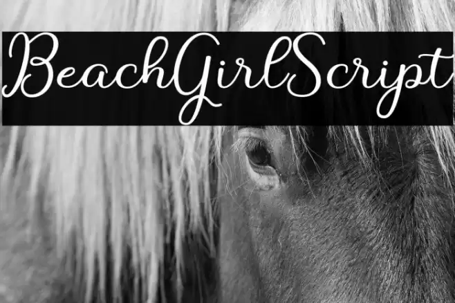 BeachGirlScript Font examples