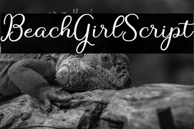 BeachGirlScript Font examples