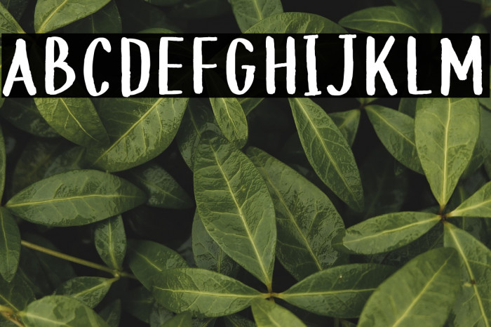 BeachHouse Example 1