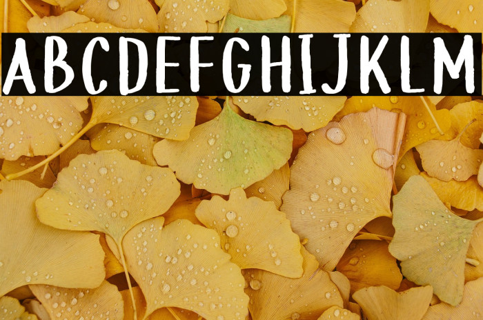 BeachHouse Example 2