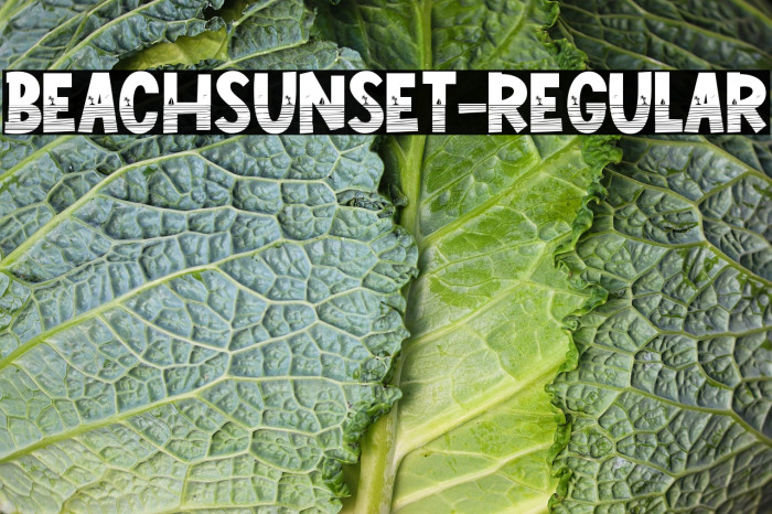 BeachSunset-Regular Example 3