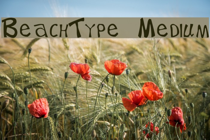 BeachType Medium Font examples
