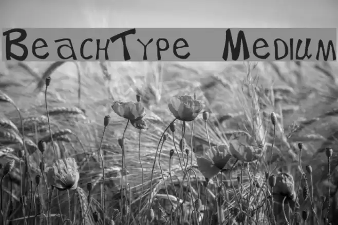 BeachType  Medium Font examples