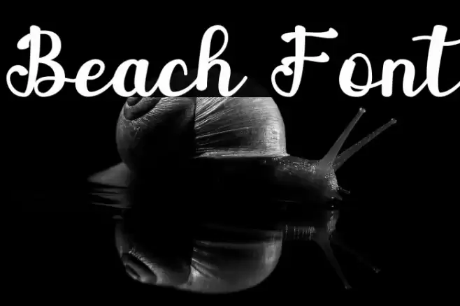 Beach Font examples