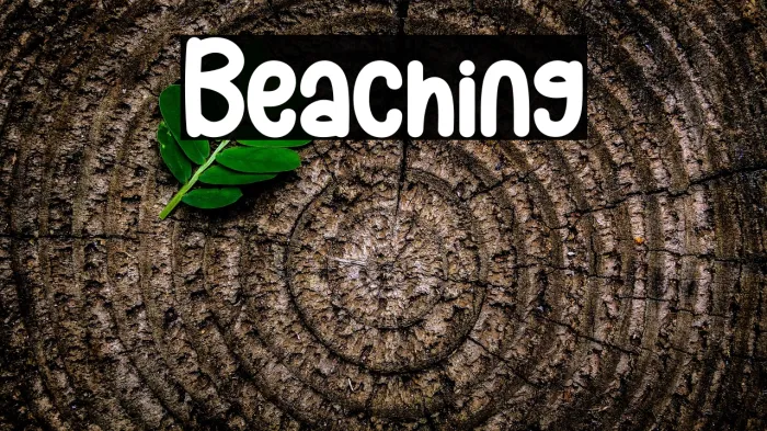 Beaching Example 2