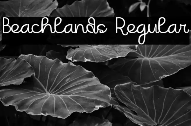 Beachlands Regular Font examples