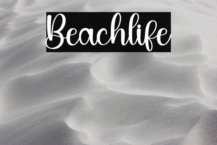 Beachlife Example 1