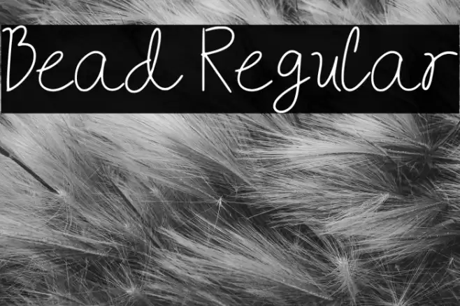 Bead Regular Font examples