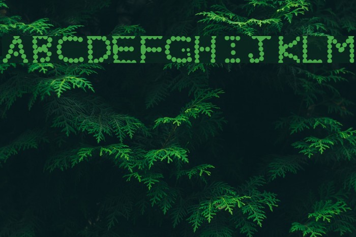 Beady Font examples