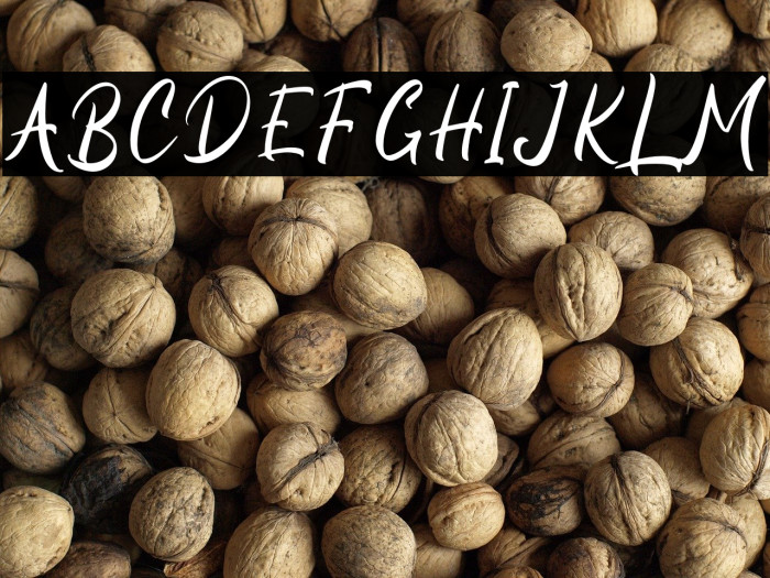 Beagle Sign - Personal Use Example 1