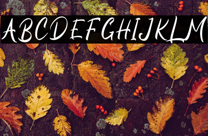 Beagle Sign - Personal Use Example 3