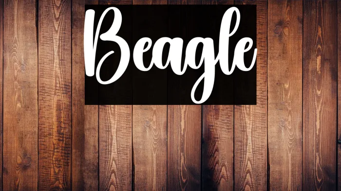 Beagle Example 1
