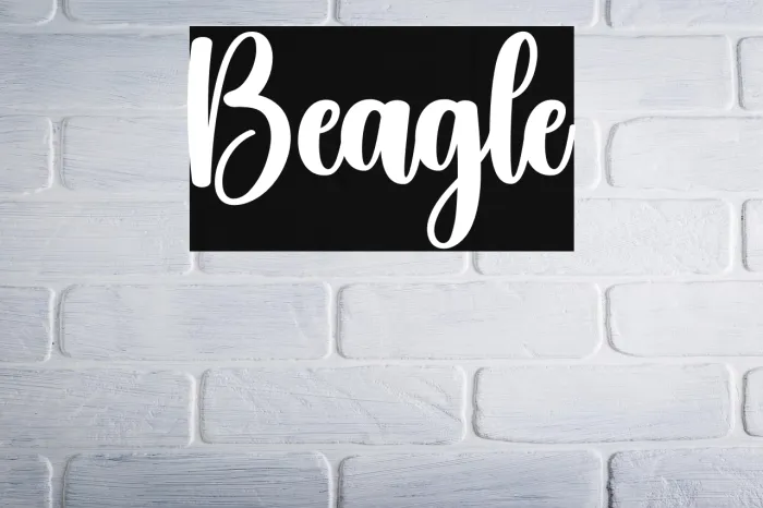 Beagle Example 2