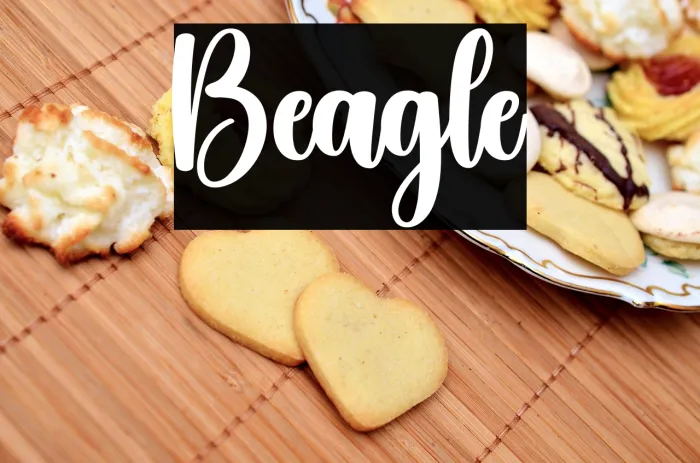 Beagle Example 3
