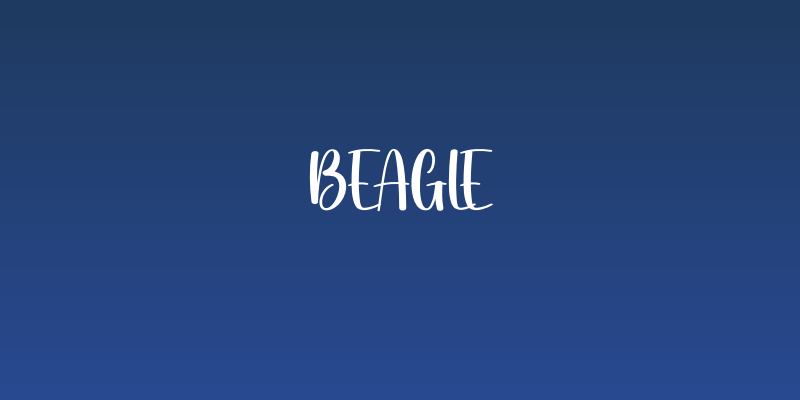 Beagle Social Header