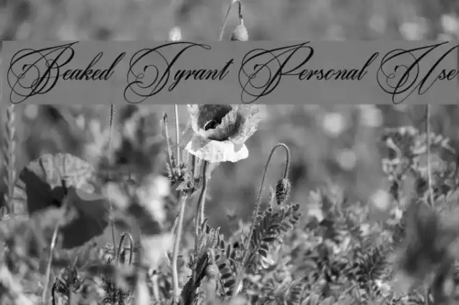 Beaked Tyrant Personal Use Шрифта examples