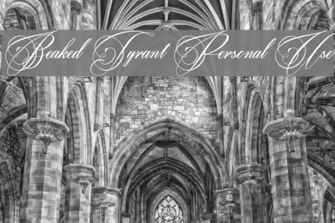 Beaked Tyrant Personal Use Шрифта examples