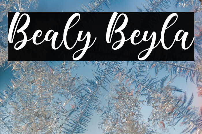 Bealy Beyla Example 1