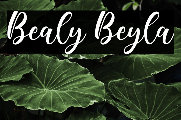 Bealy Beyla Example 3