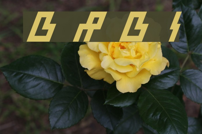 Beam Rider Bold Italic Font examples