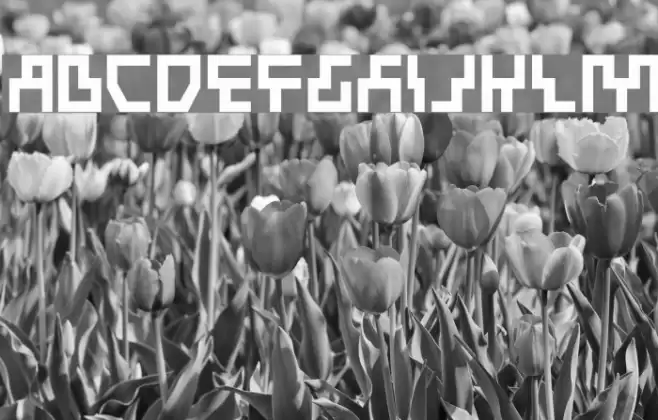 Beam Rider Bold Шрифта examples
