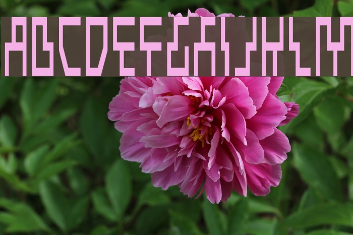 Beam Rider Condensed Example 1