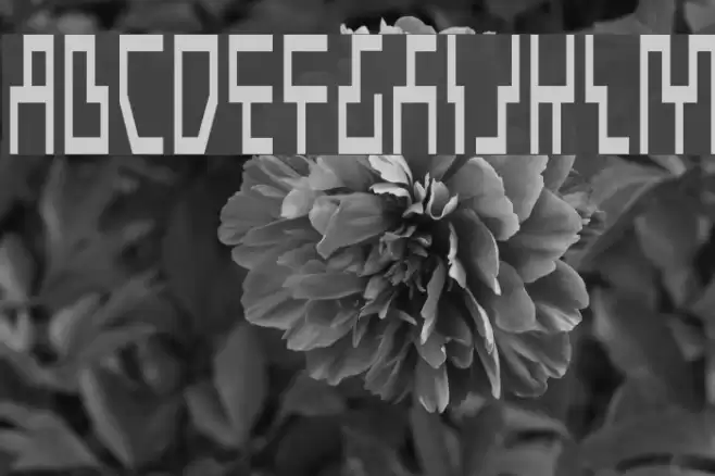 Beam Rider Condensed Font examples