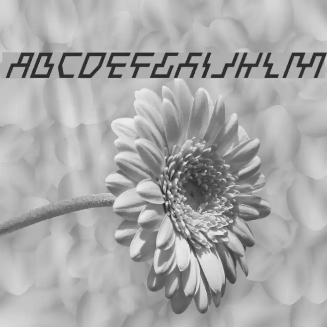 Beam Rider Italic Font examples