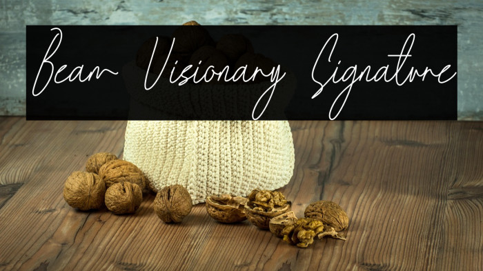 Beam Visionary Signature Example 2