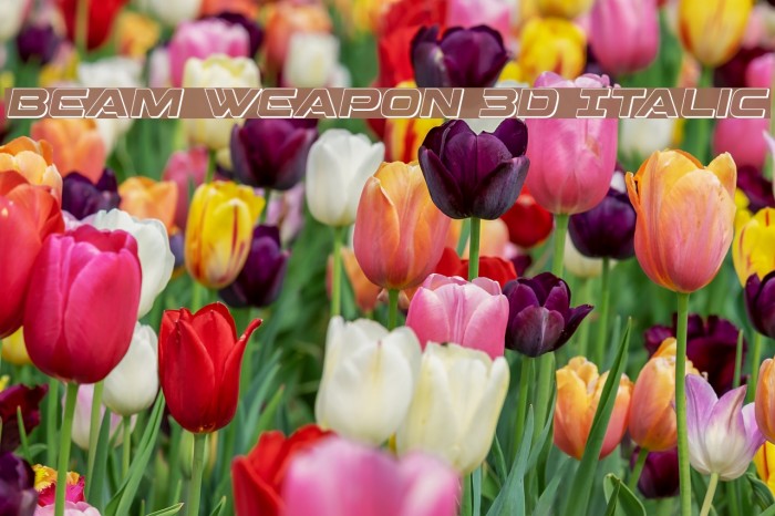Beam Weapon 3D Italic Font examples
