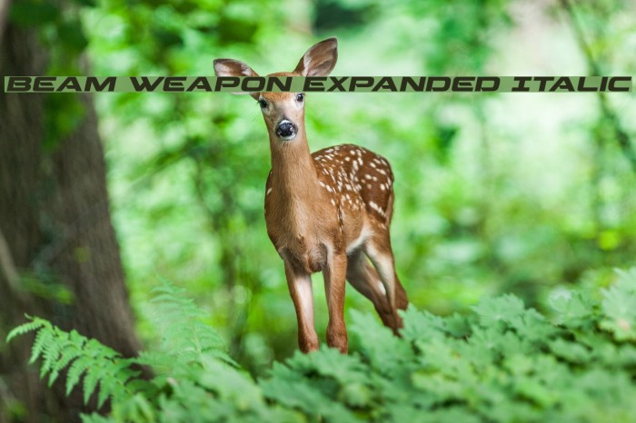 Beam Weapon Expanded Italic Font examples
