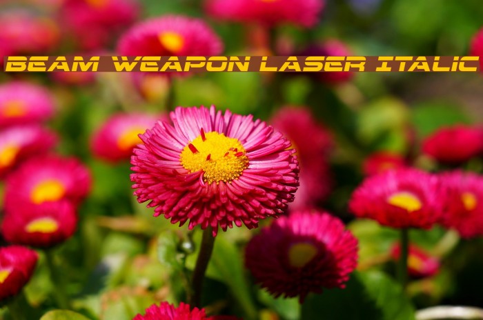 Beam Weapon Laser Italic Font examples