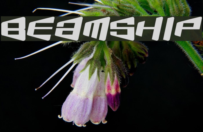 BeamShip Font examples