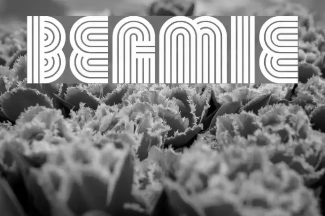 Beamie Font examples