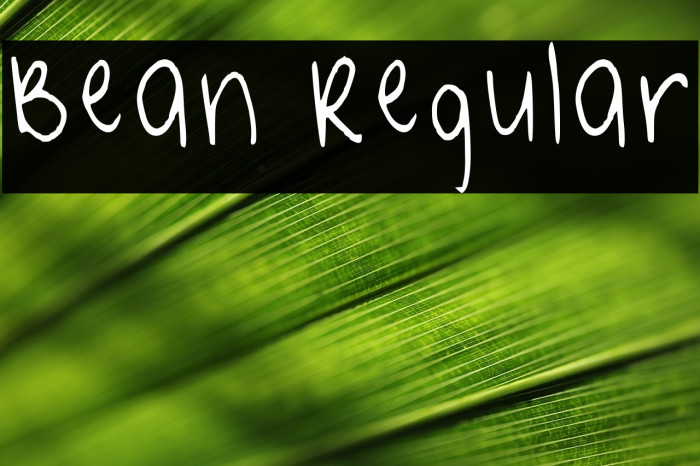 Bean Regular Example 1