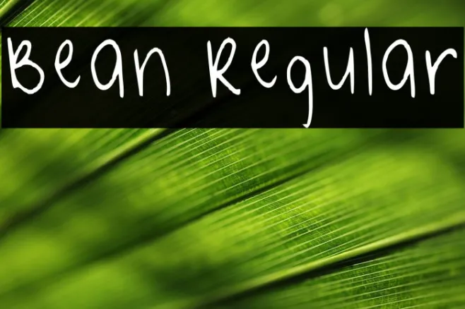 Bean Regular Example 1