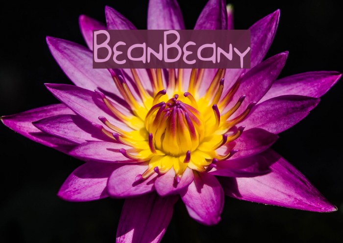 BeanBeany Font examples