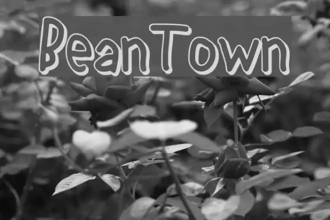 BeanTown フォント examples
