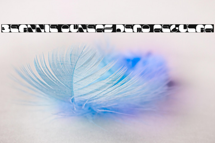 Beannie Owners Demo Regular Example 1