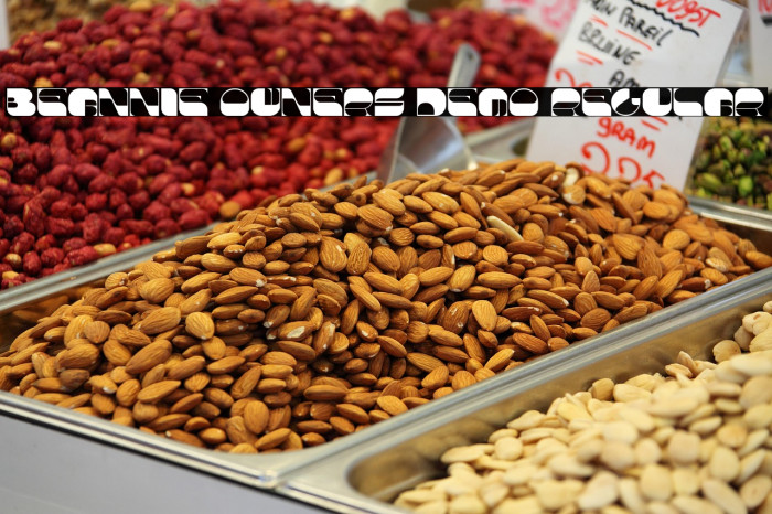 Beannie Owners Demo Regular Example 2