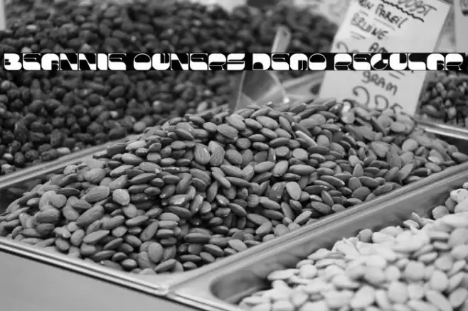 Beannie Owners Demo Regular Font examples