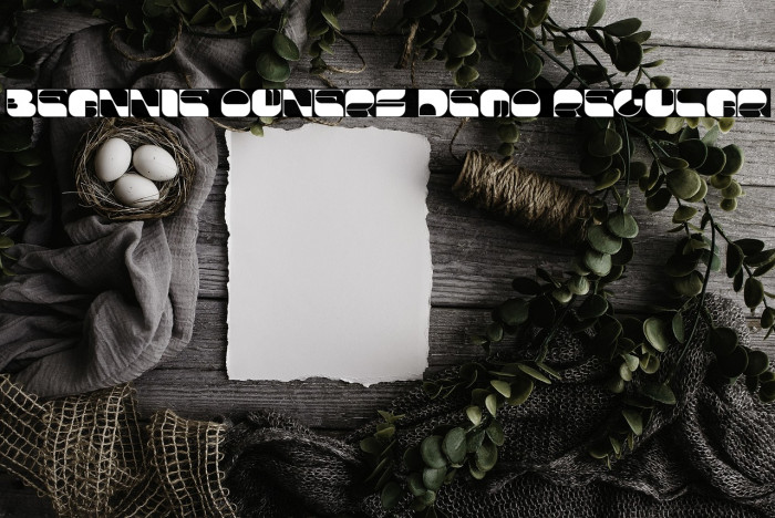 Beannie Owners Demo Regular Example 3