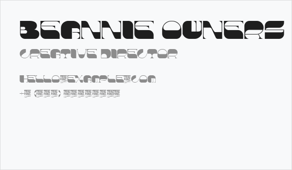 Beannie Owners Demo Regular Business Card