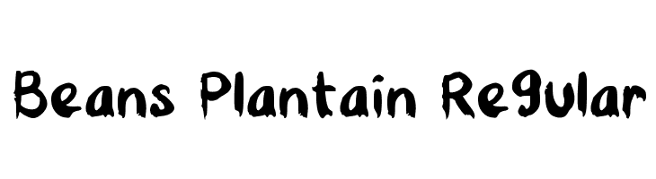 Beans Plantain Regular Caratteri