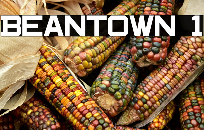 Beantown 1 Example 1