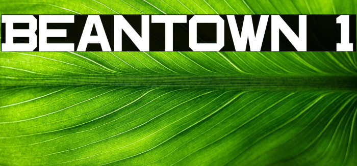 Beantown 1 Example 2