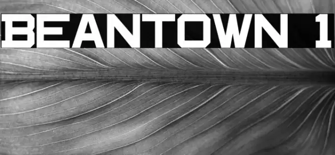 Beantown 1 Font examples