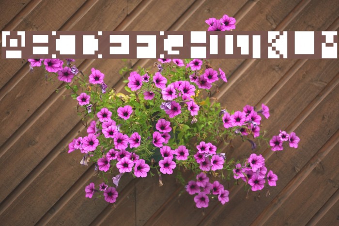 Beanwriting Regular Font examples